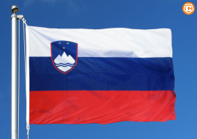 Флаг Словении с карабинами